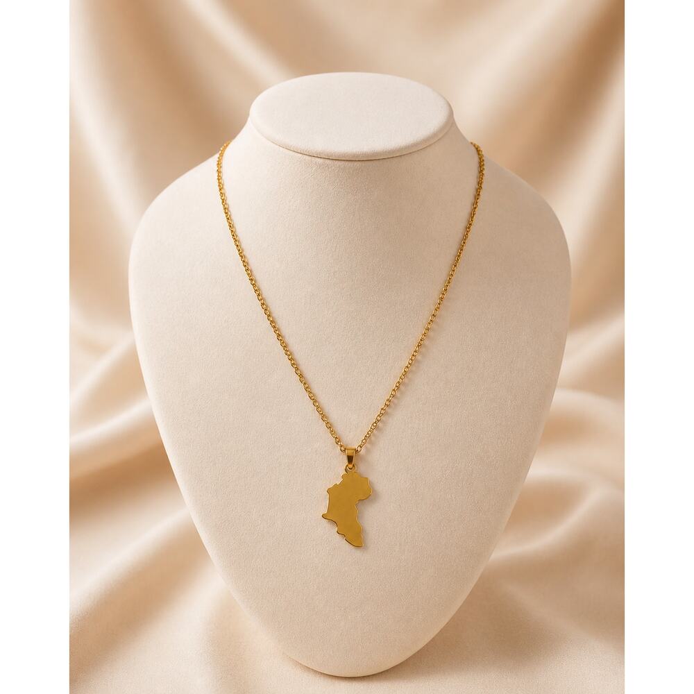 Africa Map Pendant Necklace Stainless Steel Gold Tone 18 in NWT